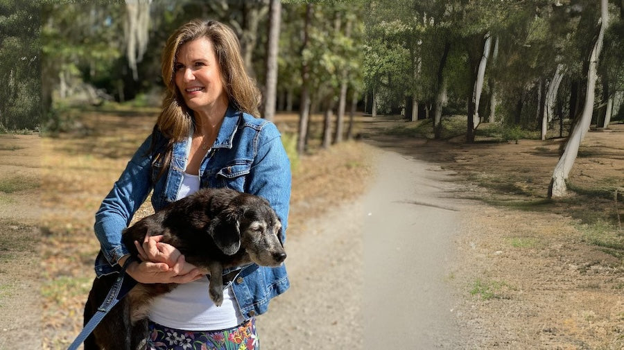 MycoDog Senior Dog Study Results Mushrooms for Cognitive Decline in Dogs