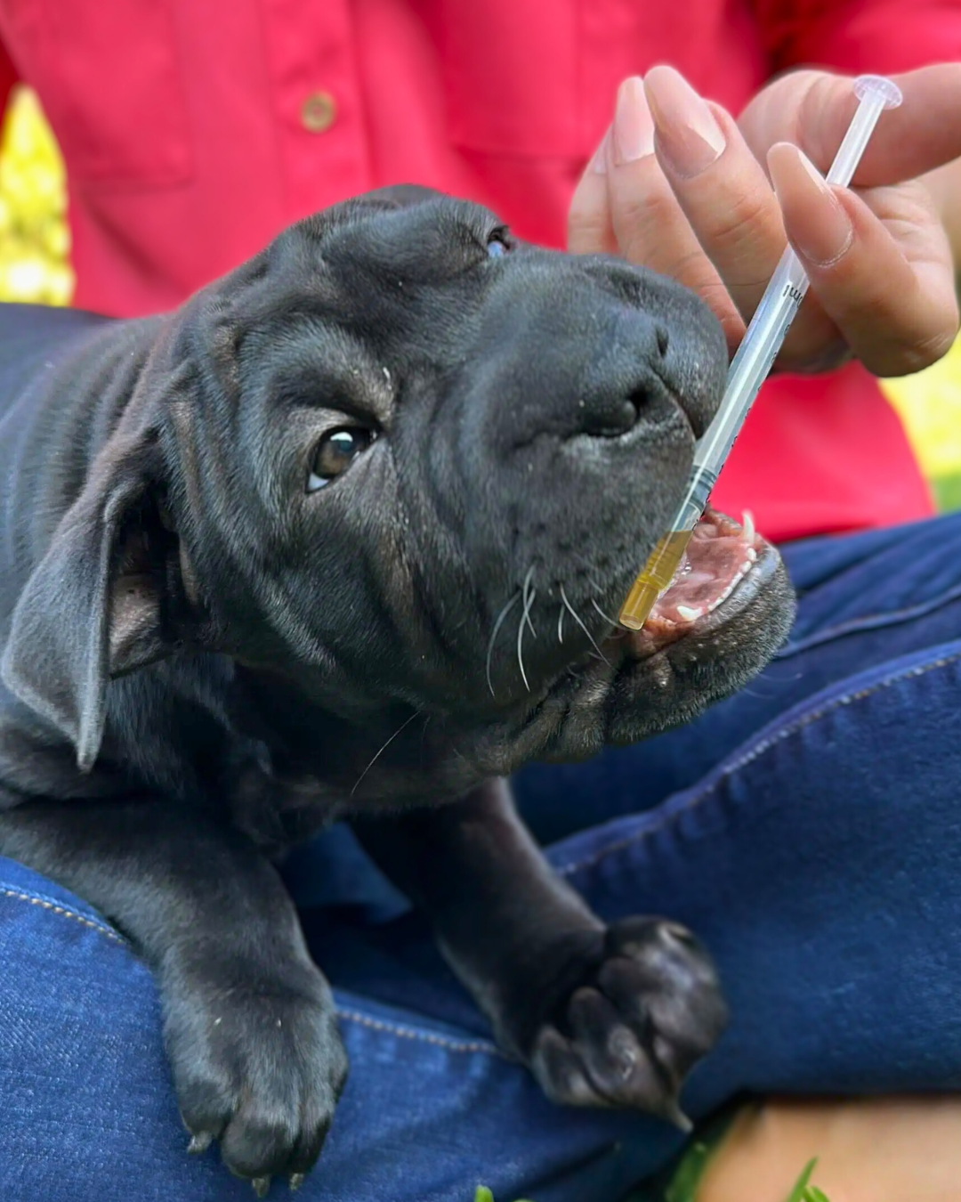 Bottle Dosing Adapter Kit