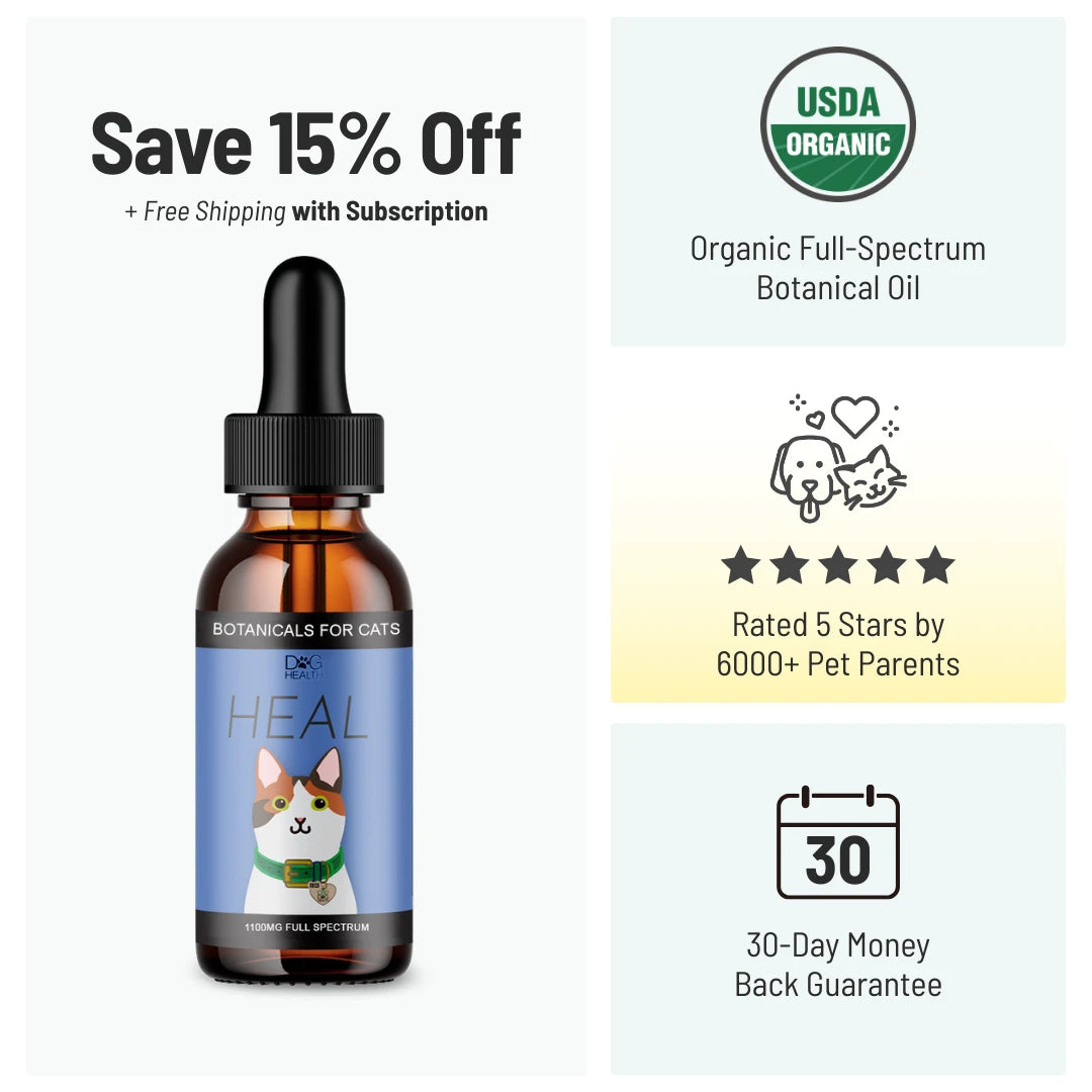 HEAL: Immune & Inflammatory Balance for Cats