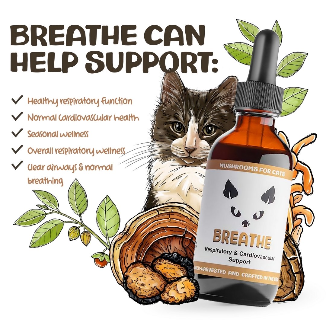 MycoCat Breathe mushroom tincture for cats with illustrated cat, mushrooms, and list of supported health issues.