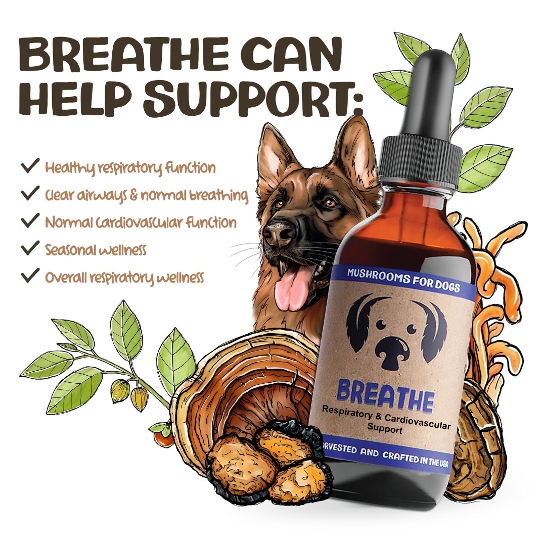 MycoDog Breathe mushroom tincture for dogs with illustrated dog, mushrooms, and list of supported health issues.