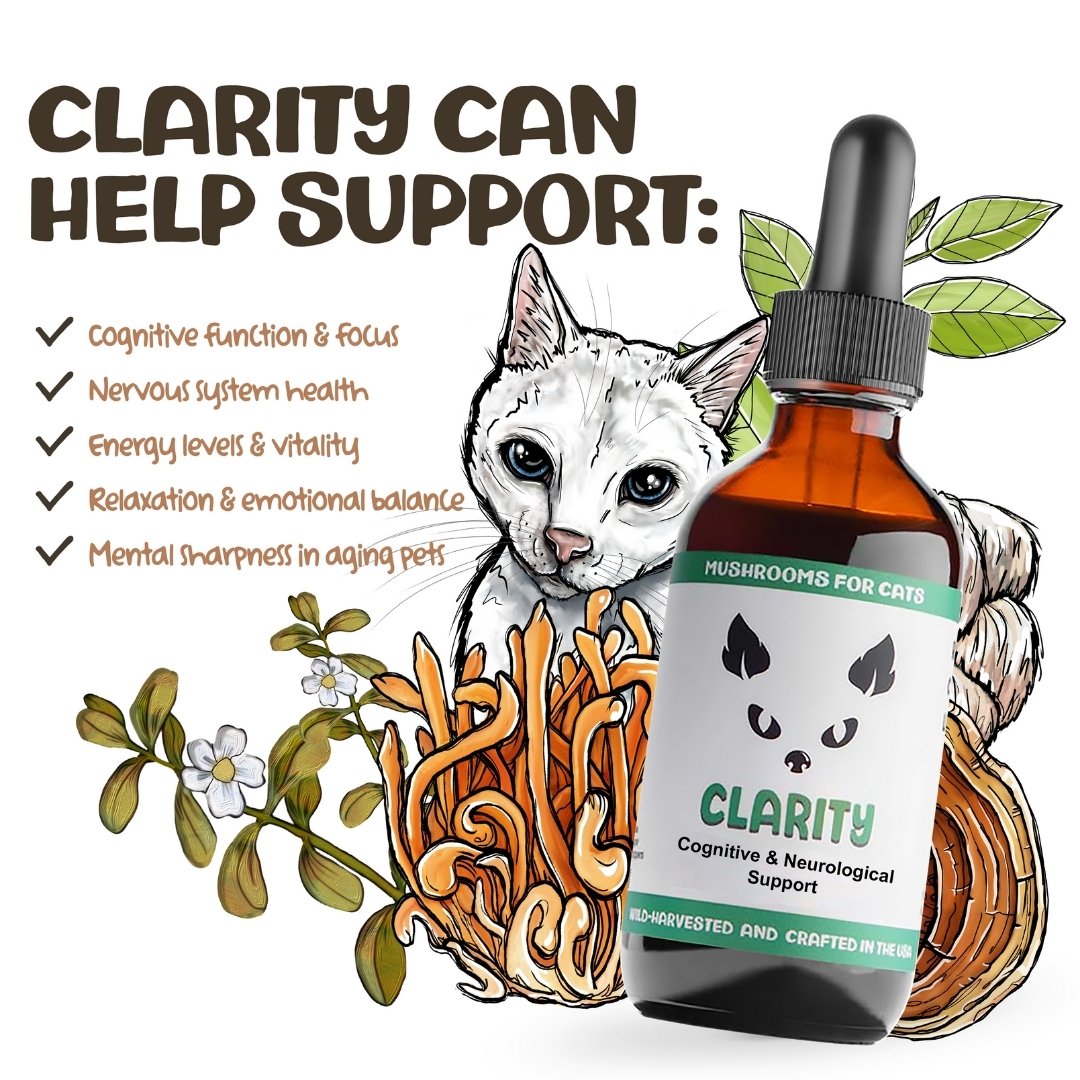 MycoCat Clarity mushroom tincture for cats with illustrated cat, mushrooms, and list of supported health issues.