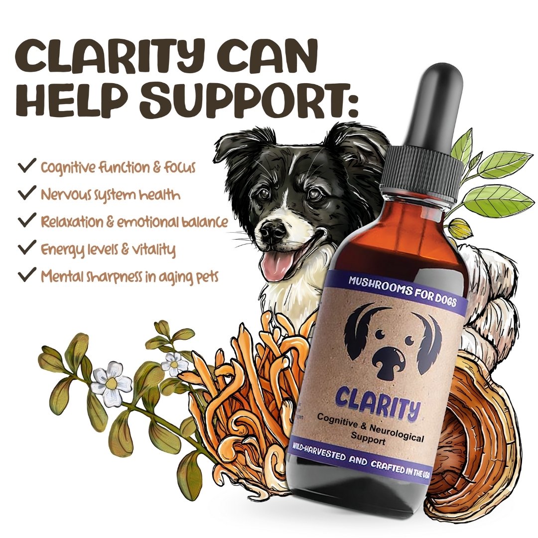 MycoDog Clarity mushroom tincture for dogs with illustrated dog, mushrooms, and list of supported health issues.