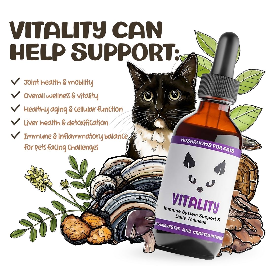MycoCat Vitality mushroom tincture for cats with illustrated cat, mushrooms, and list of supported health issues.