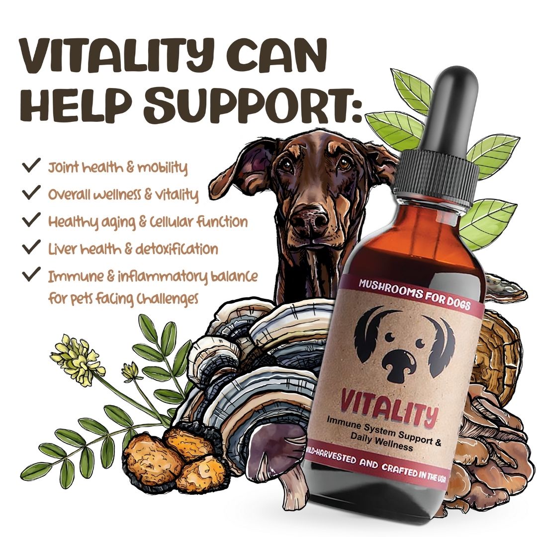 MycoDog Vitality mushroom tincture for dogs with illustrated dog, mushrooms, and list of supported health issues.