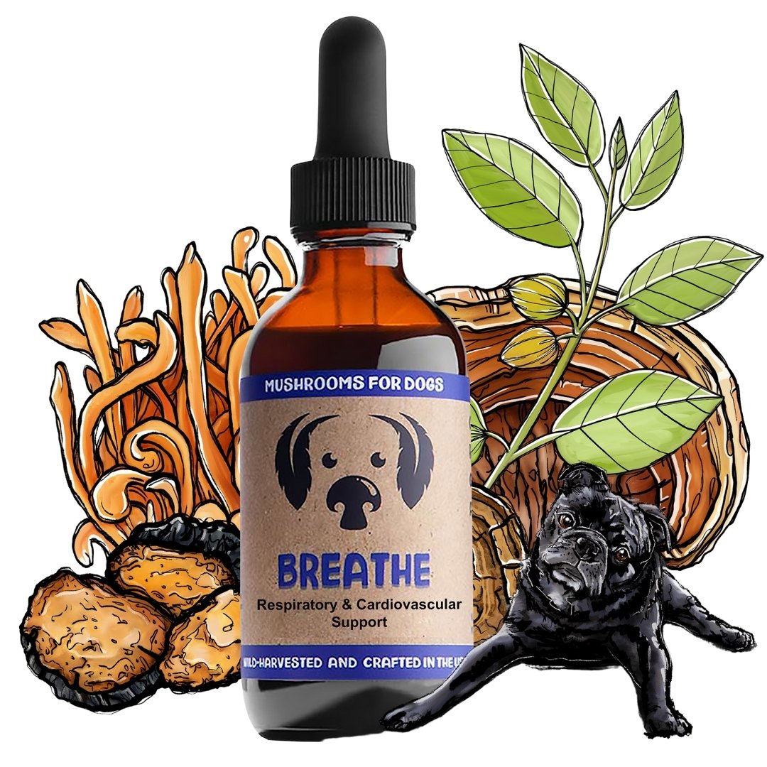 MycoDog Breathe mushroom tincture for dogs with illustrated mushrooms, herbs, and a dog.