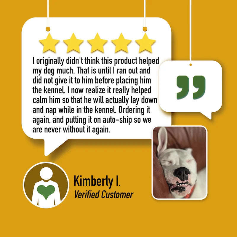 CALM: Travel, Noise & Stress Support