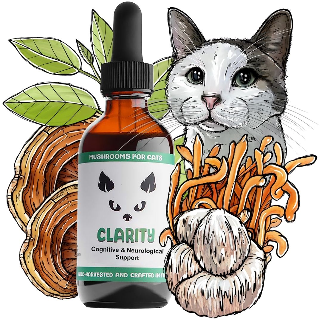 MycoCat Clarity mushroom tincture for cats with illustrated mushrooms, herbs, and a cat.