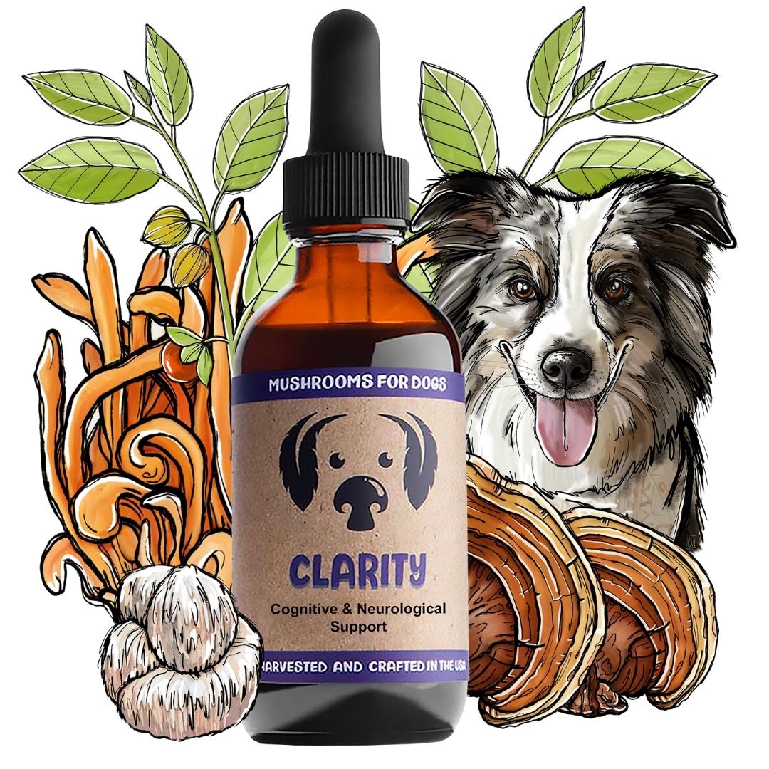 MycoDog Clarity mushroom tincture for dogs with illustrated mushrooms, herbs, and a dog.