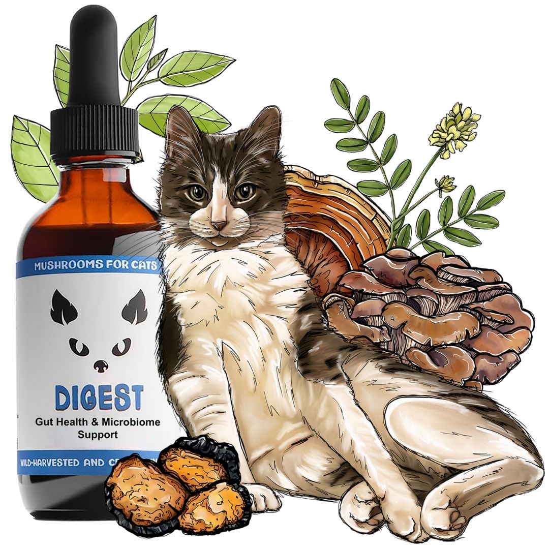 MycoCat Digest mushroom tincture for cats with illustrated mushrooms, herbs, and a cat