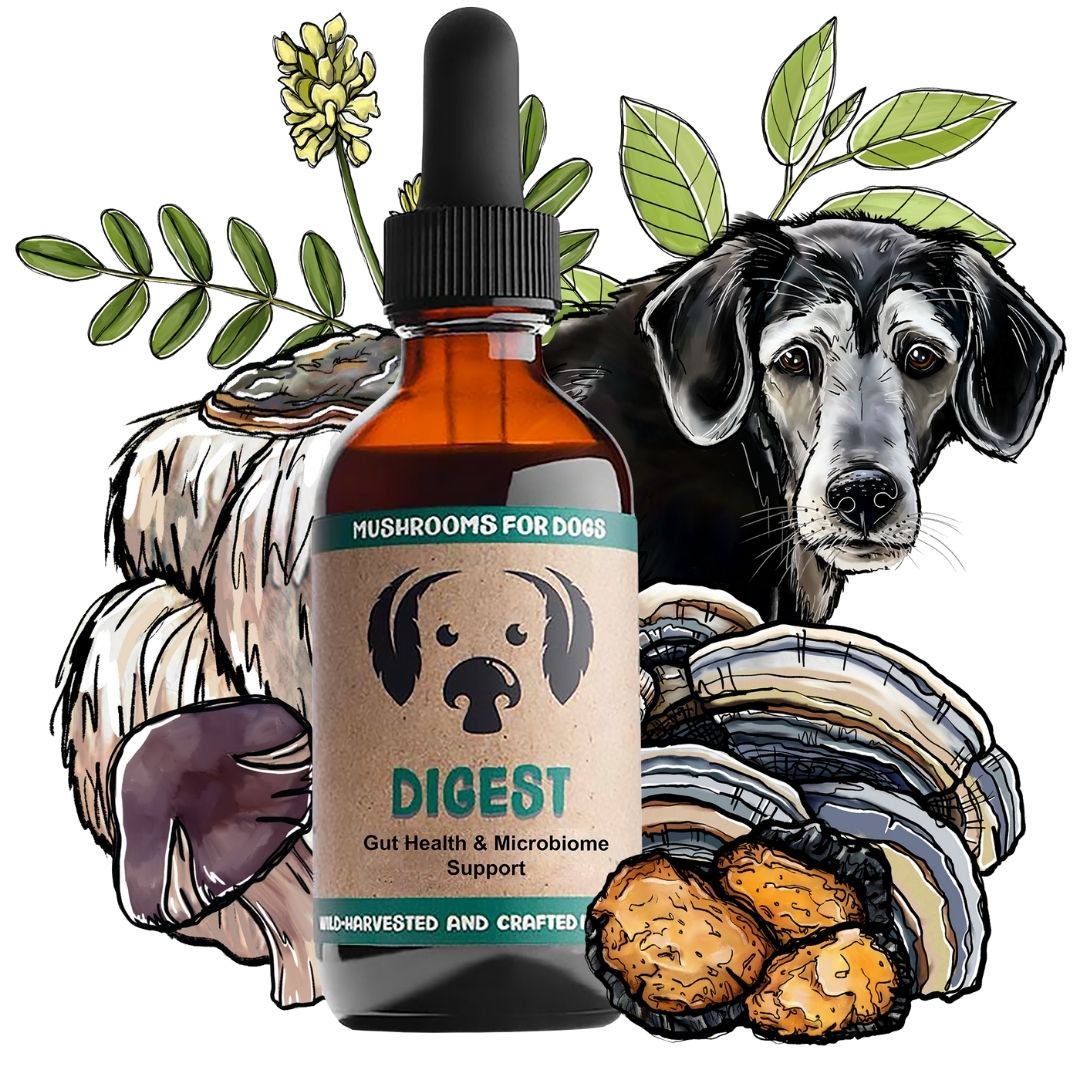 MycoDog Digest mushroom tincture for cats with illustrated mushrooms, herbs, and a dog