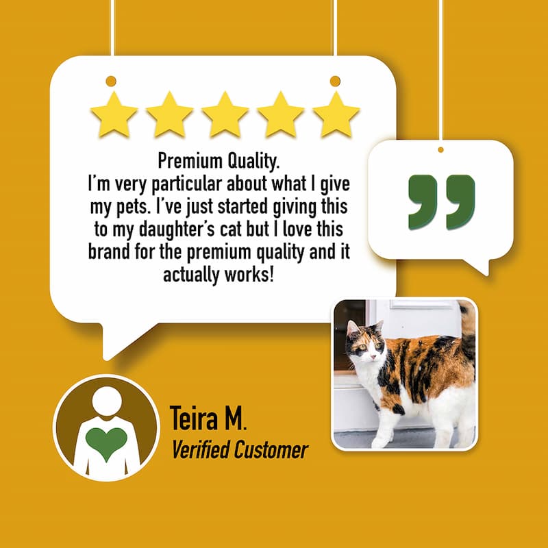 HEAL: Immune & Inflammatory Balance for Cats