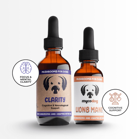 Senior Dog Cognitive Duo