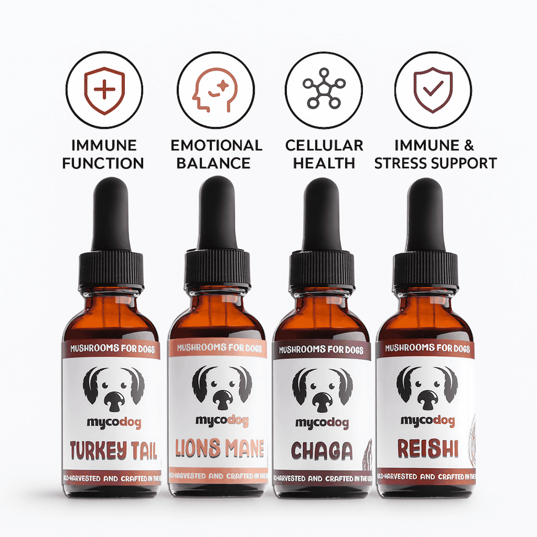 MycoDog Essentials Bundle