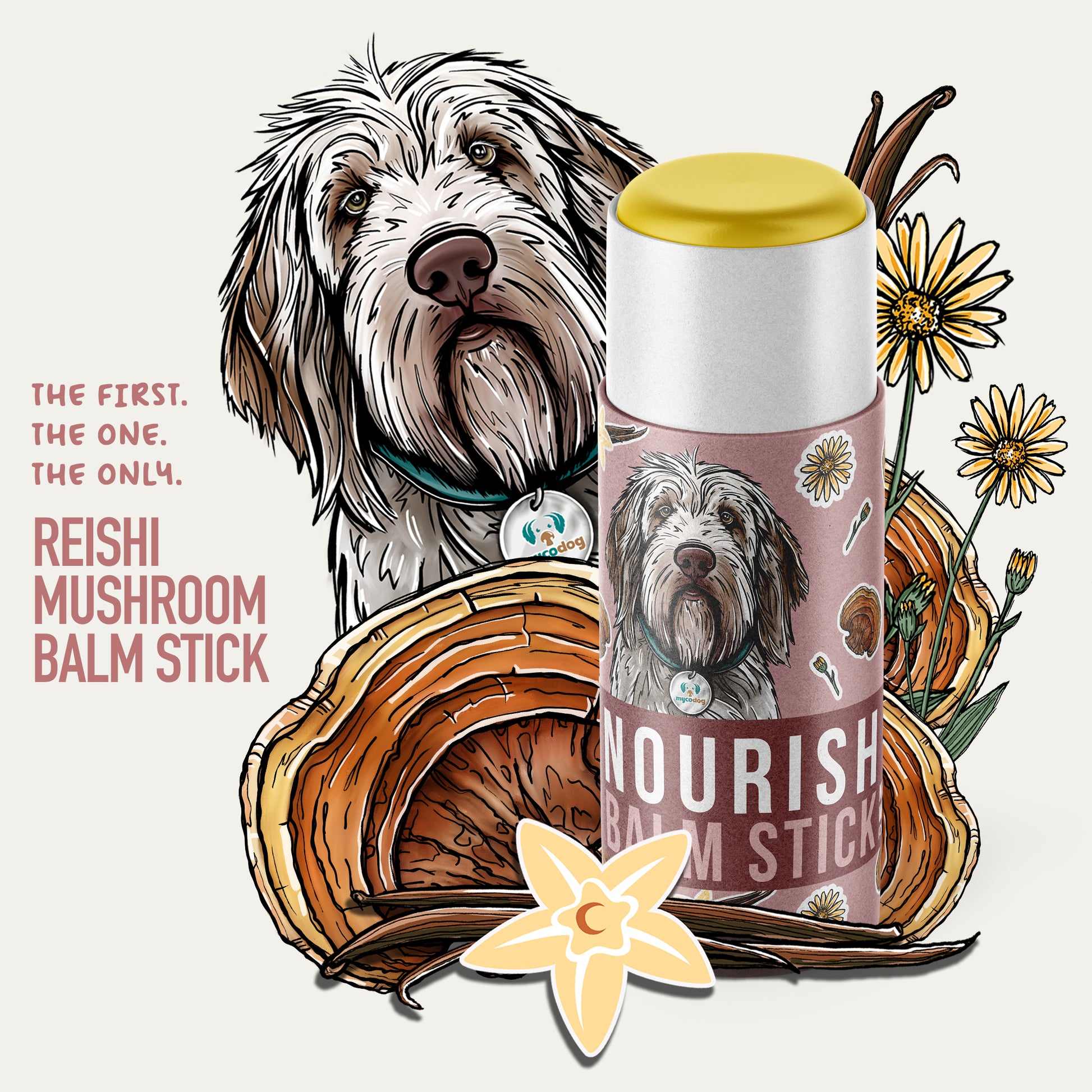 Reishi mushroom balm stick for dogs paw balm