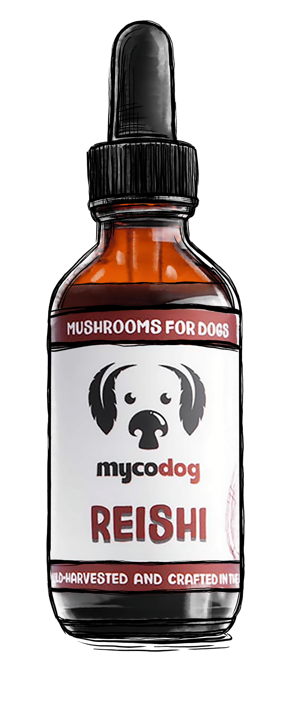 MycoDog Reishi Single Extract mushroom tincture for dogs