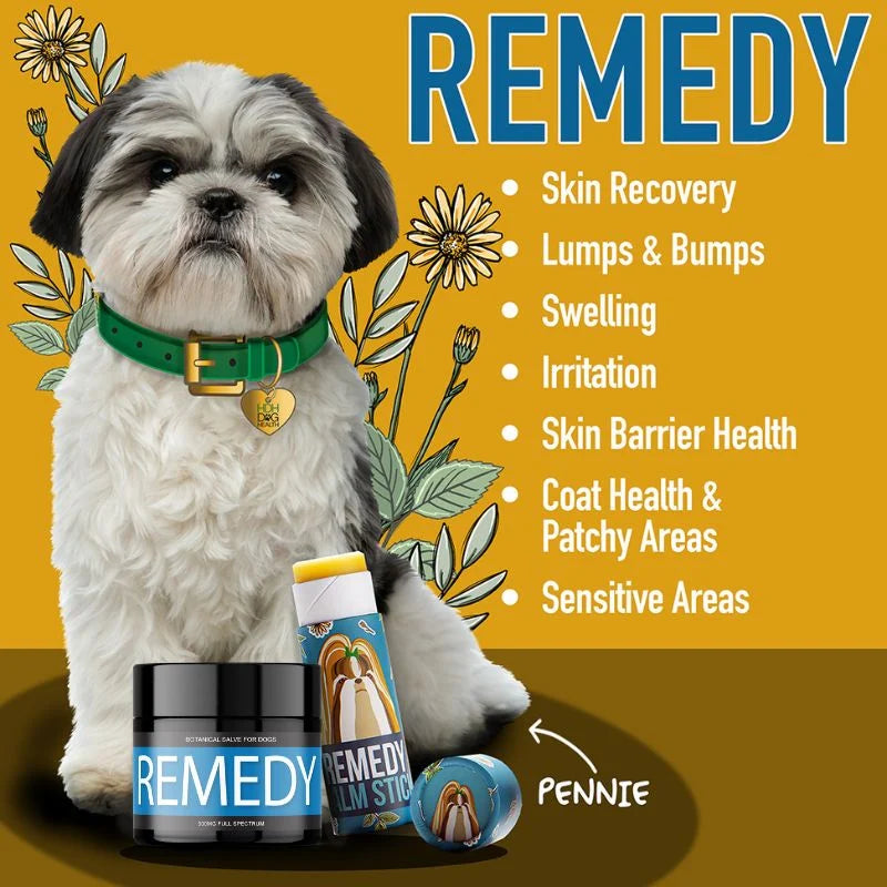 Senior Dog Wellness Bundle