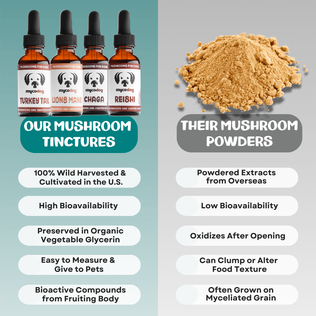 Digestive Harmony Bundle