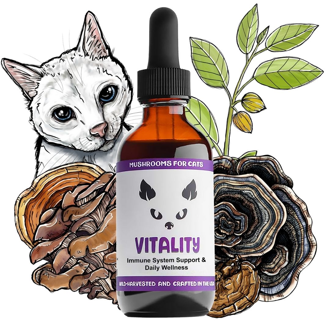 MycoCat Vitality mushroom tincture for cats with illustrated mushrooms, herbs, and a cat.