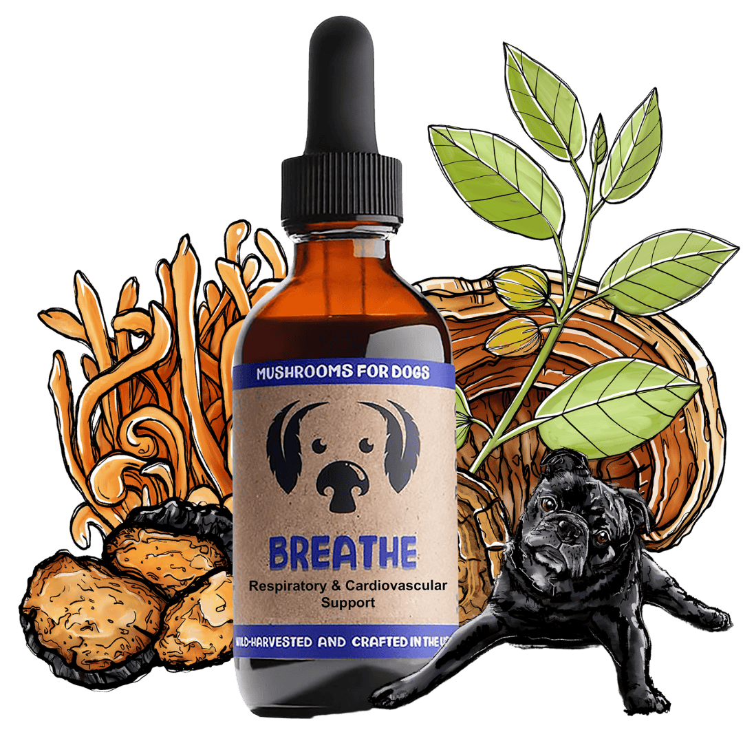 Breathe dog pet mushroom tincture by MycoDog for respiratory health, featuring Turkey Tail, Chaga, and other beneficial mushrooms.