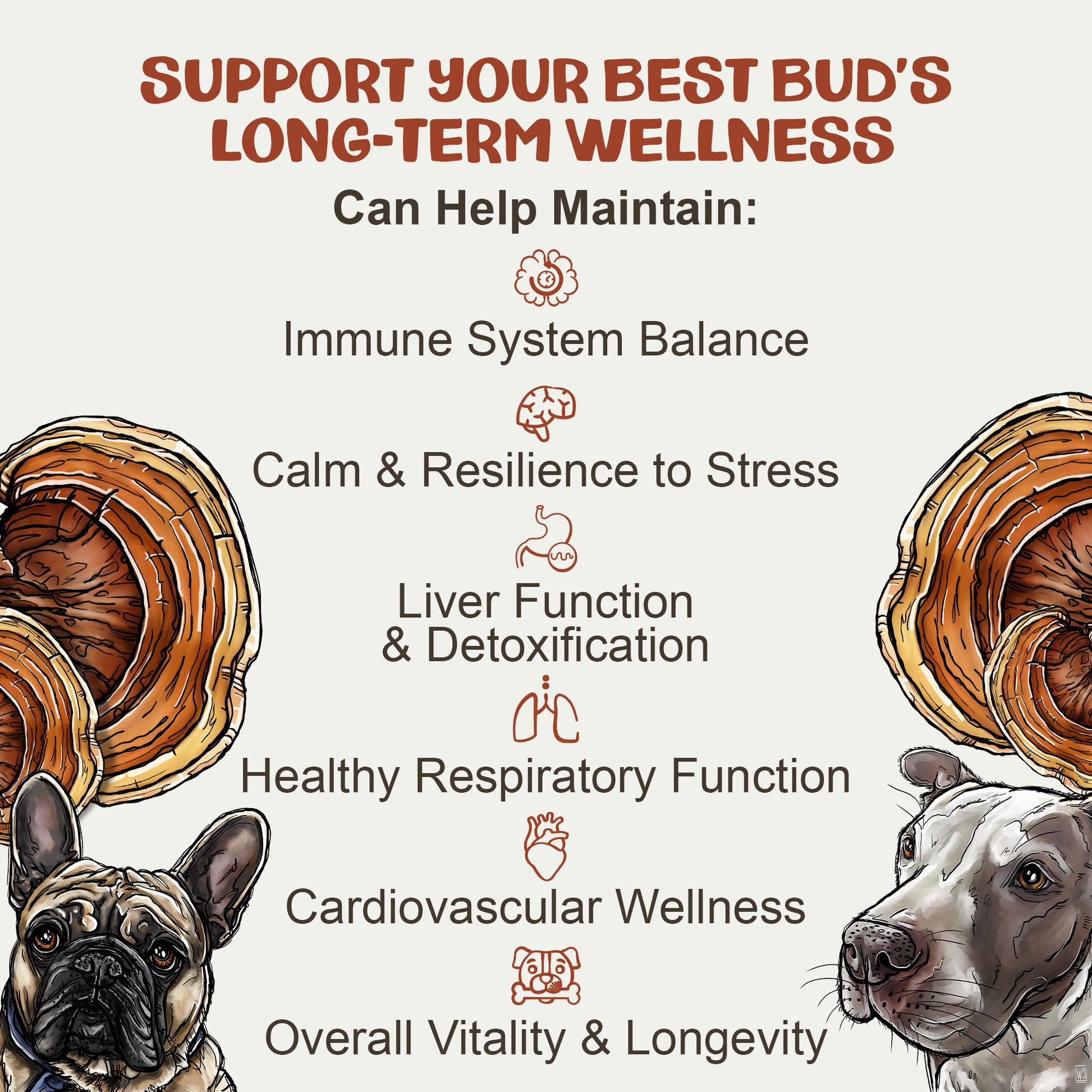 Illustration of two dogs with mushrooms and text about supporting long-term wellness.