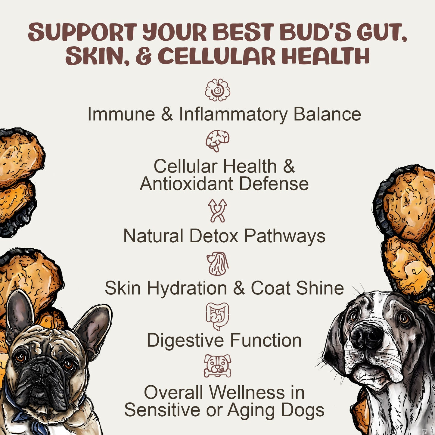 Dog food packaging with illustrations of dogs and text about gut, skin, and cellular health benefits.