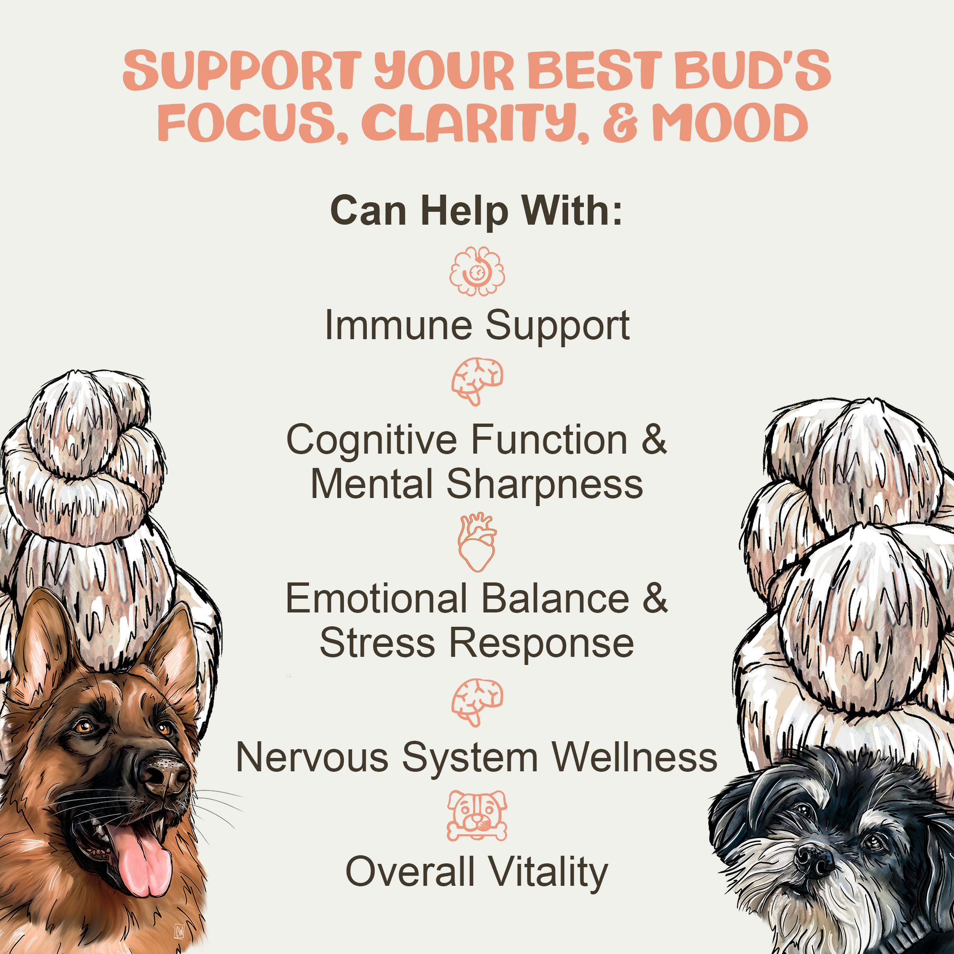 Illustration of two dogs with text about supporting focus, clarity, and mood.