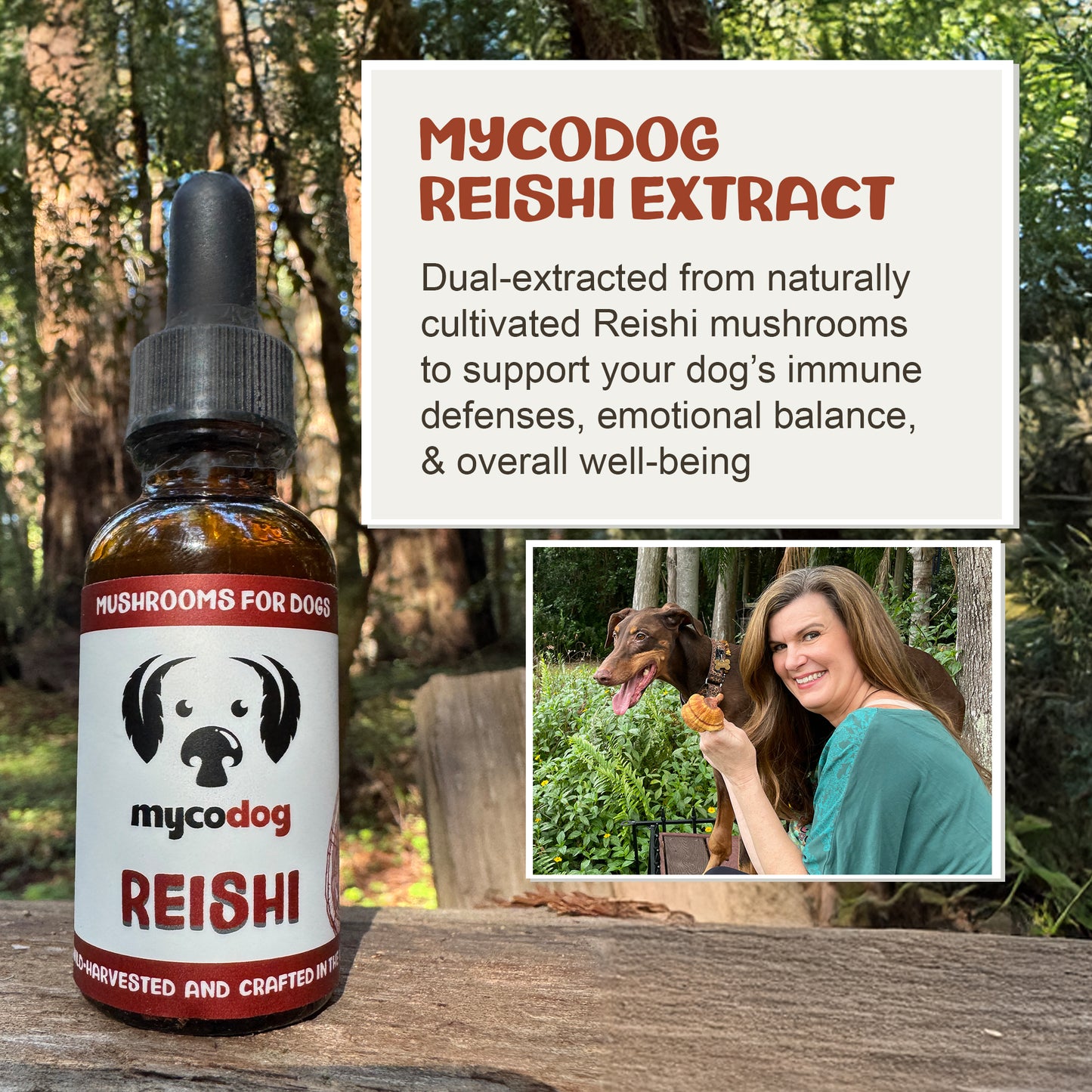 Mycodog Reishi Extract bottle with a woman and dog in a forest setting