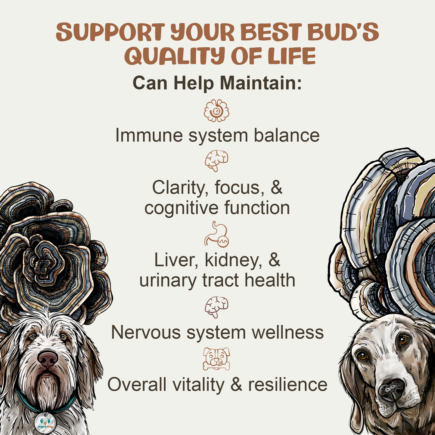 Illustration of two dogs with text about supporting a pet's quality of life and health benefits.