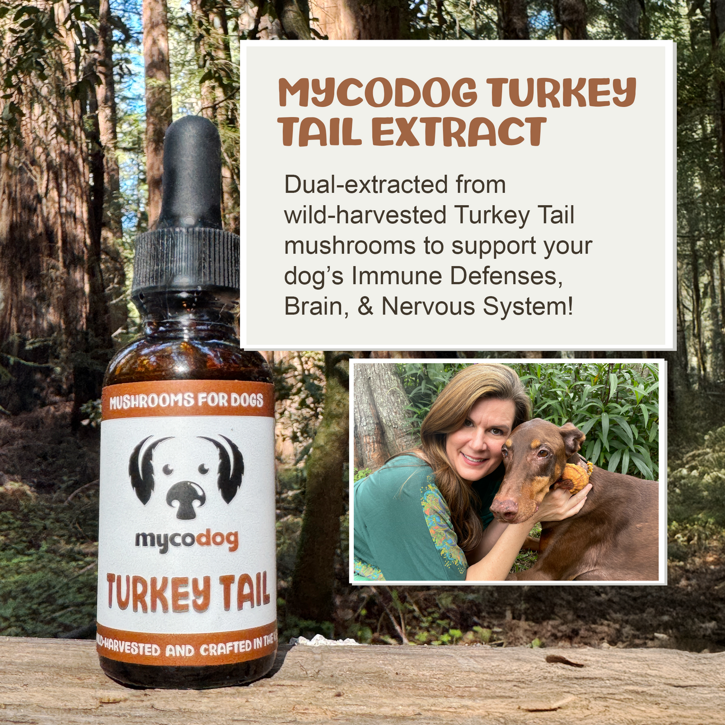 Bottle of mycodog Turkey Tail Extract with a woman and dog in a forest setting