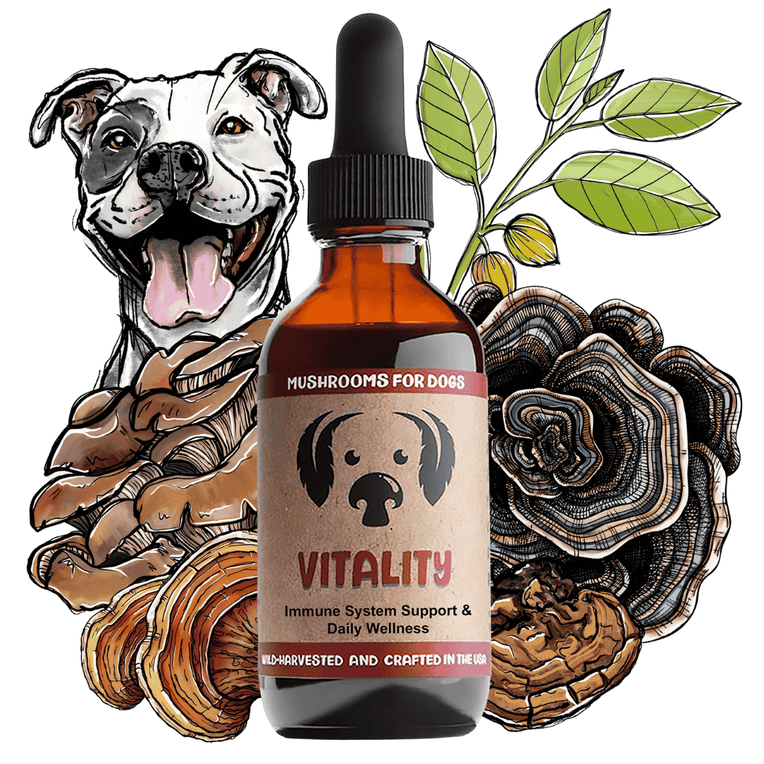 Vitality dog pet mushroom tincture by MycoDog for immune system support, featuring a synergistic blend of Reishi, Turkey Tail, and other health-promoting mushrooms.