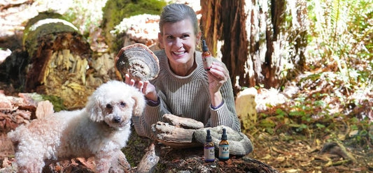 Angela Ardolino Why I made a better mushroom extract for dogs