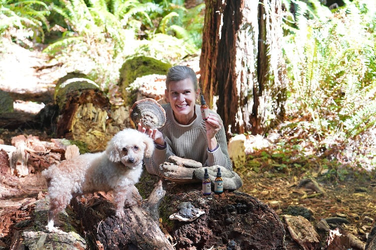 Functional Mushrooms for Dogs