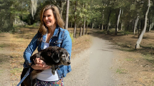 MycoDog Senior Dog Study Results Mushrooms for Cognitive Decline in Dogs