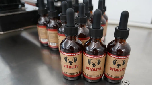 Why Vitality Is a True 20-in-1 (and What That Actually Means)