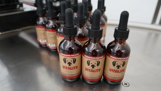 vegetable glycerin for dogs safe for dogs pets cats glycerin guide glycerin tinctures