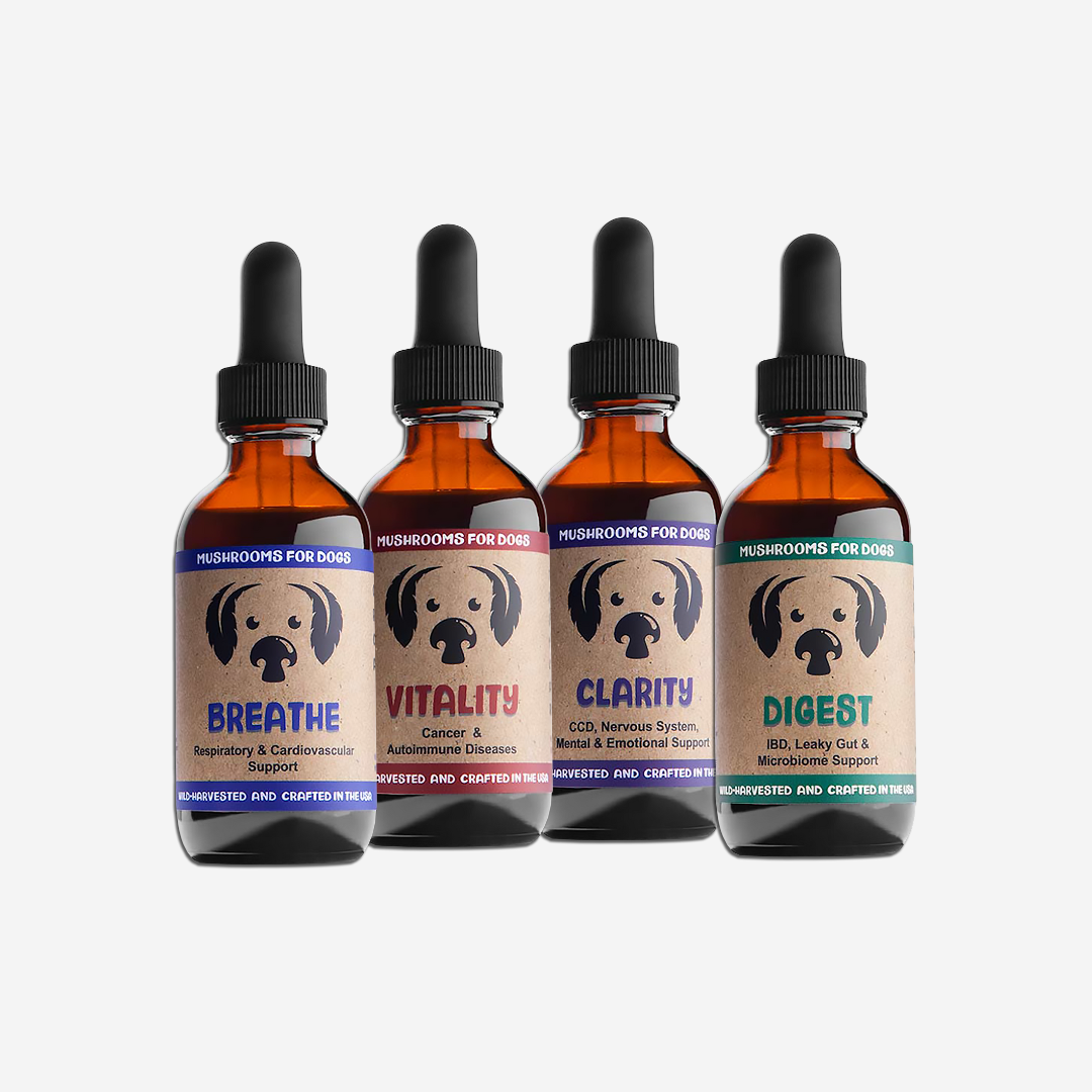 Mushrooms For Dogs