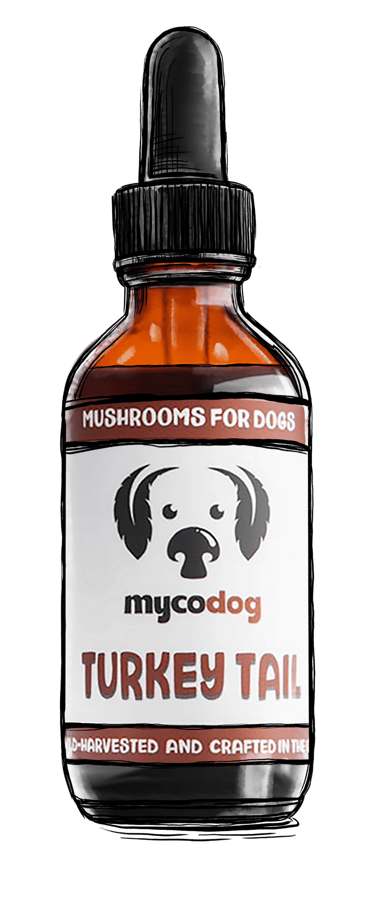 turkey-tail-mushroom-extract-for-pets-mycodog