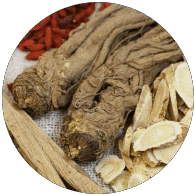 Astragalus Root
