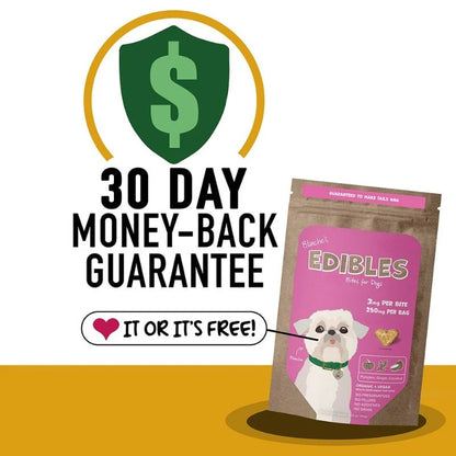 Blanche’s Edibles: Dog Treats