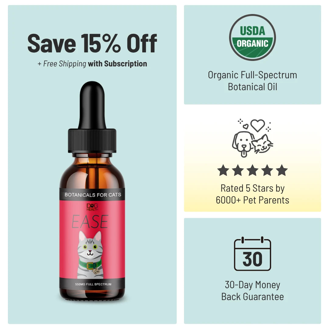 EASE: Mobility & Itchy Cats