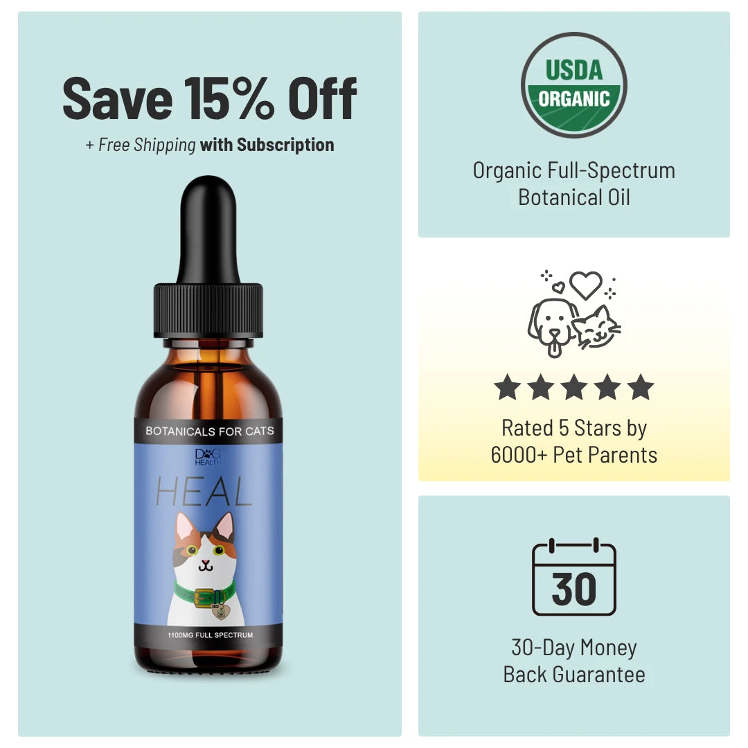 HEAL: Immune & Inflammatory Balance for Cats