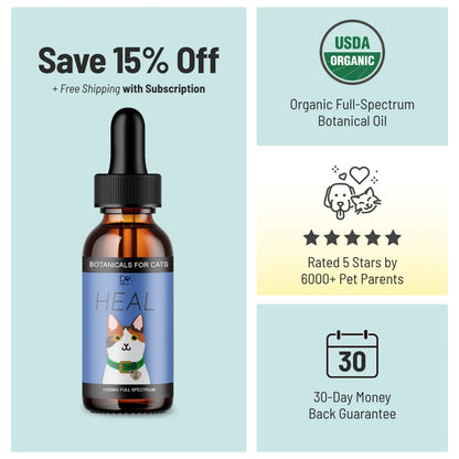 HEAL: Immune & Inflammatory Balance for Cats