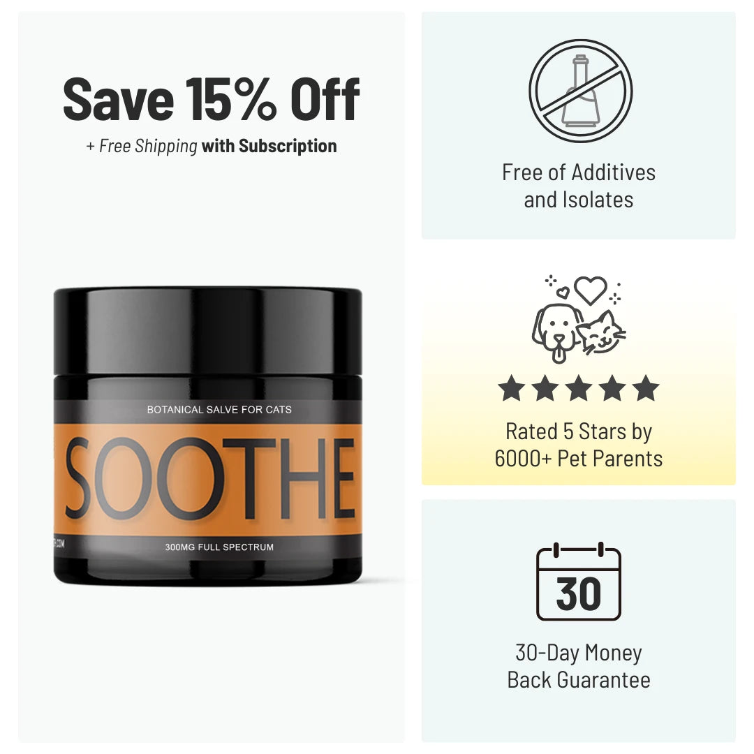 SOOTHE: Itchy, Irritated Skin for Cats