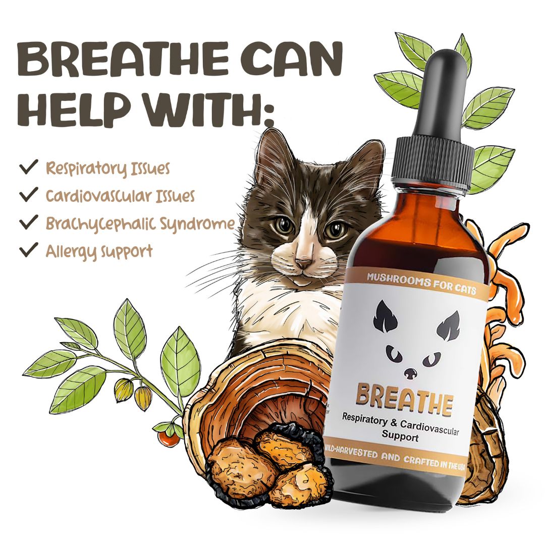 MycoCat Breathe mushroom tincture for cats with illustrated cat, mushrooms, and list of supported health issues.