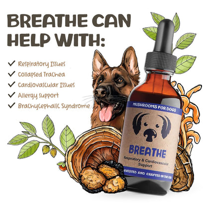 MycoDog Breathe mushroom tincture for dogs with illustrated dog, mushrooms, and list of supported health issues.