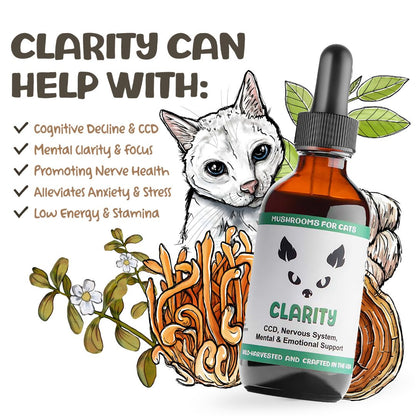 MycoCat Clarity mushroom tincture for cats with illustrated cat, mushrooms, and list of supported health issues.