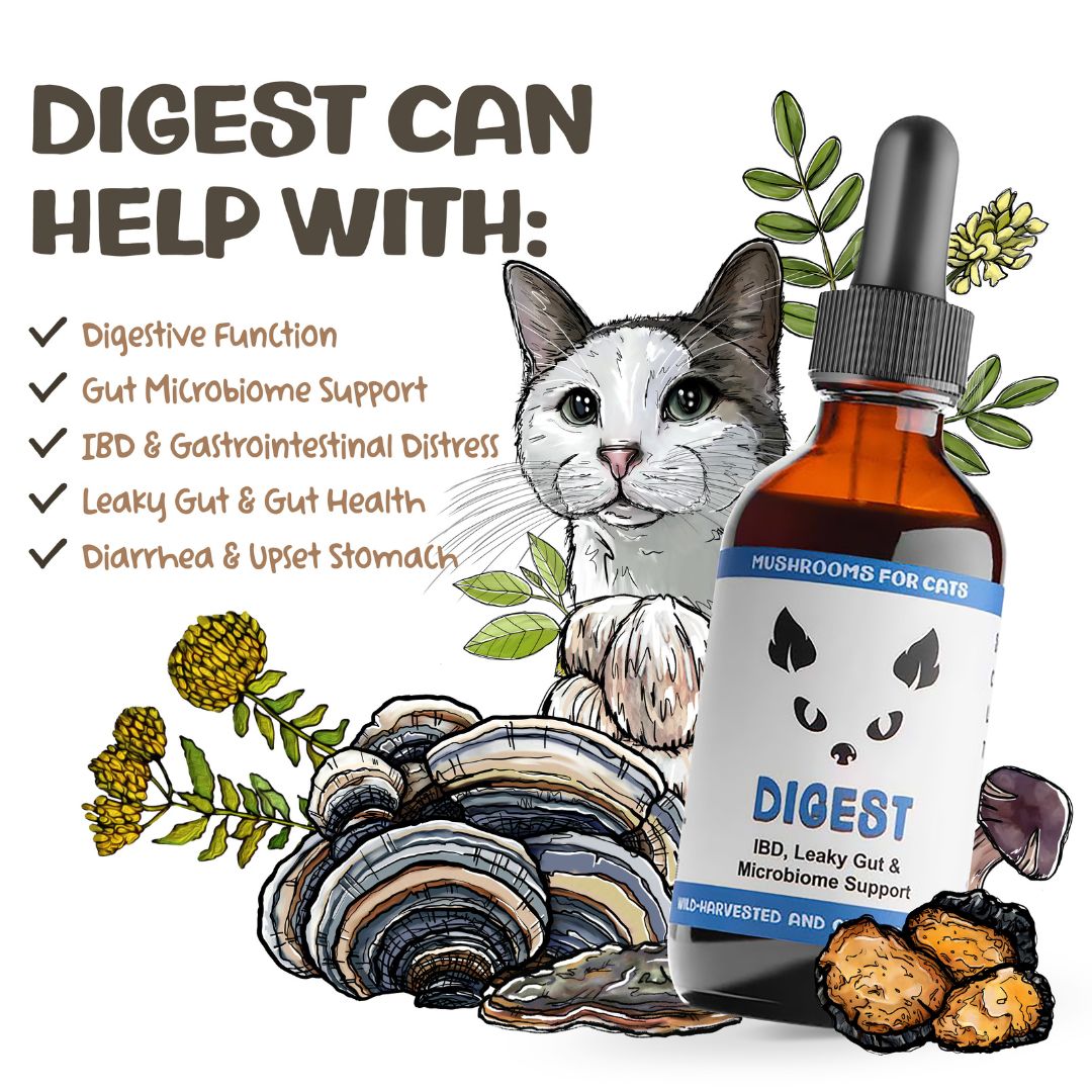 MycoCat Digest mushroom tincture for cats with illustrated cat, mushrooms, and list of supported health issues.