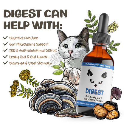 MycoCat Digest mushroom tincture for cats with illustrated cat, mushrooms, and list of supported health issues.