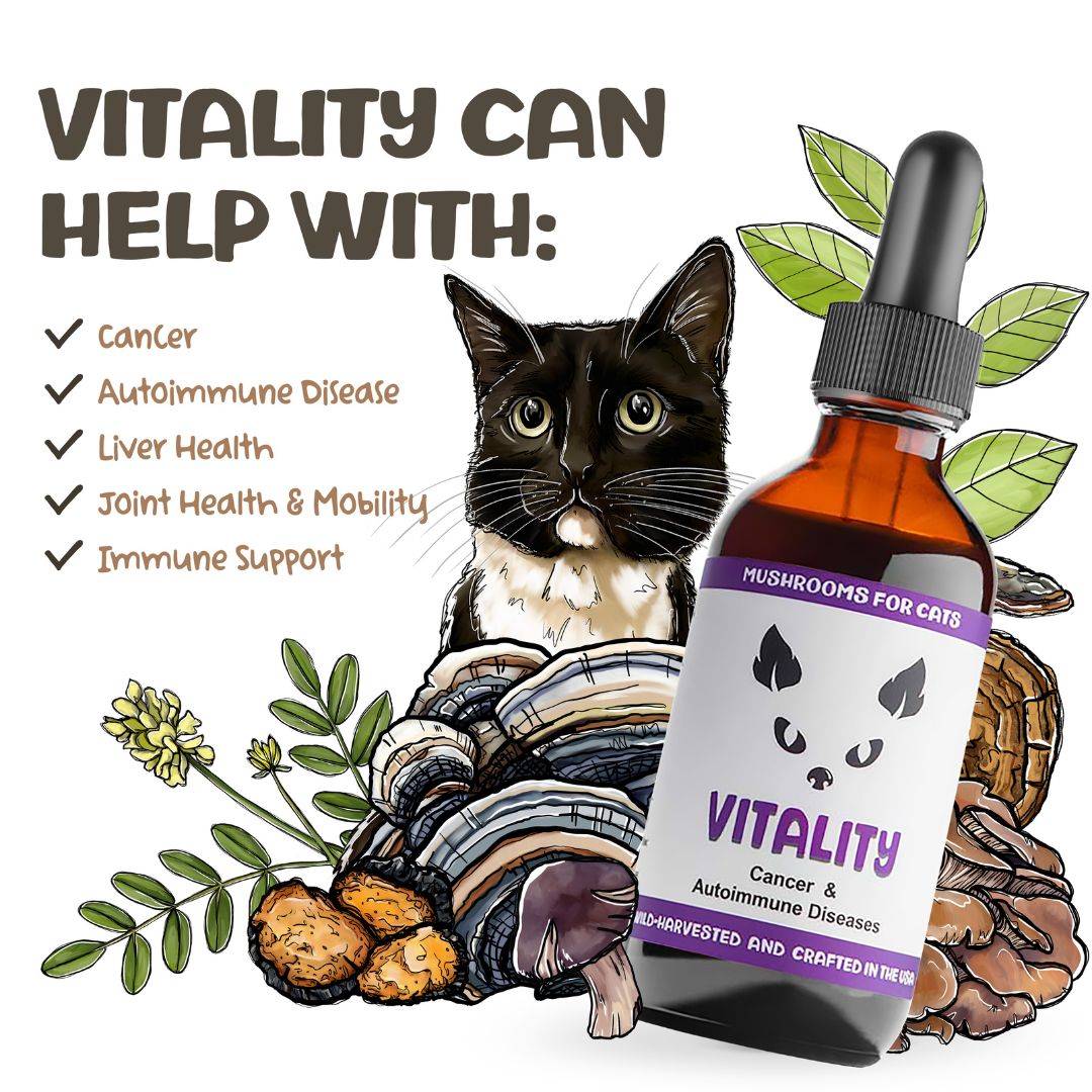 MycoCat Vitality mushroom tincture for cats with illustrated cat, mushrooms, and list of supported health issues.